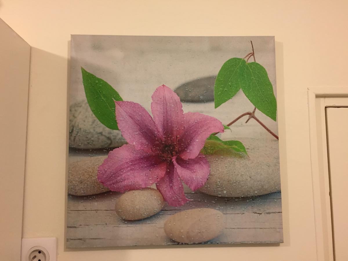 מונפלייה Appartement Mimosa, Tram 2, Parking מראה חיצוני תמונה
