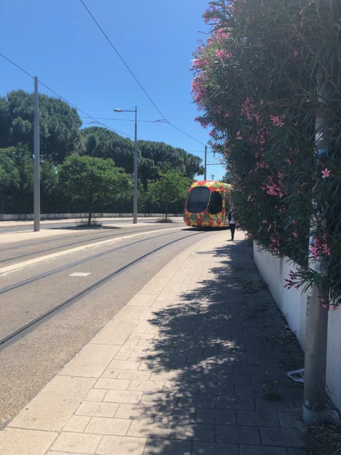 מונפלייה Appartement Mimosa, Tram 2, Parking מראה חיצוני תמונה